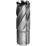 Makita 20S - Korunkový (jádrový) vrták fréza pr.20 mm délka 30 mm upínání weldon, HB500