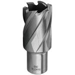 Makita 26S - Korunkový (jádrový) vrták fréza pr.26 mm délka 30 mm upínání weldon, HB500